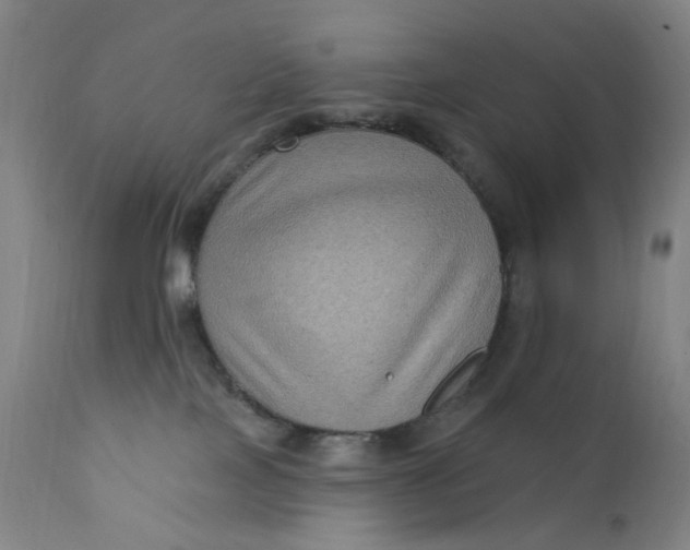 X0000112420089200909041423