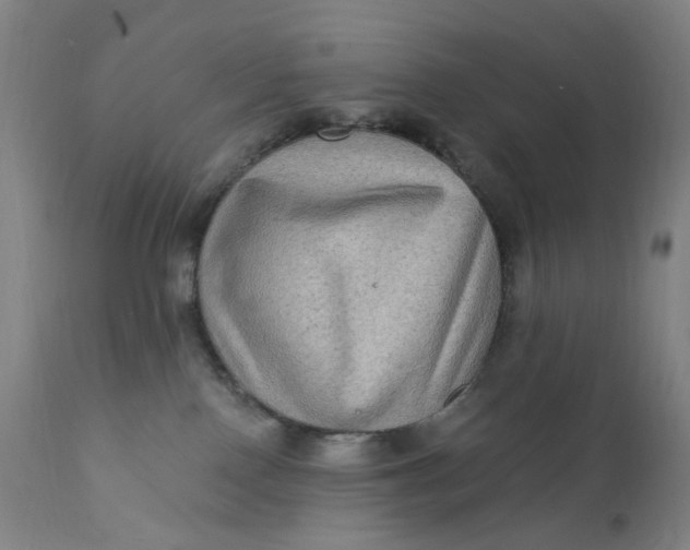 X0000112420090200909041423