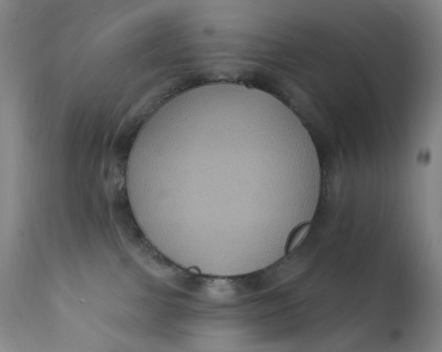 X0000112420091200909041423