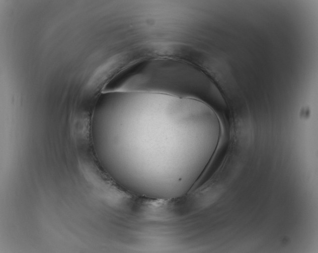 X0000112420092200909041423