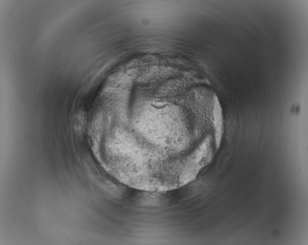 X0000112420093200909041423