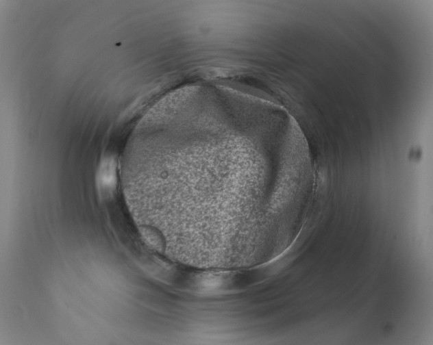 X0000112420094200909041423