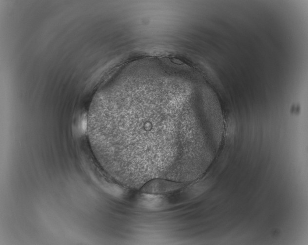 X0000112420095200909041423