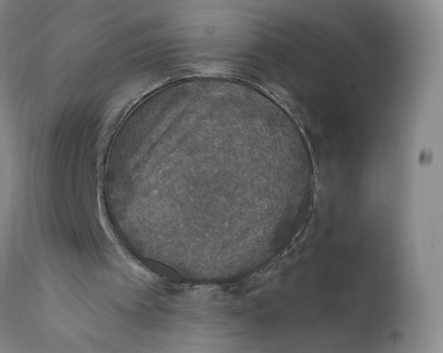 X0000112420097200909041422