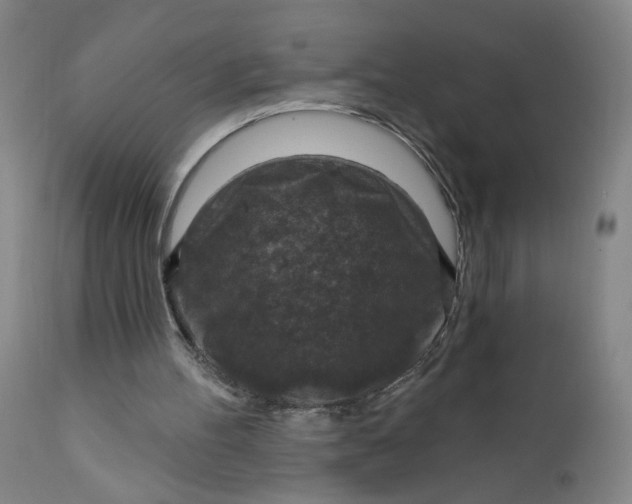 X0000112420100200909041422