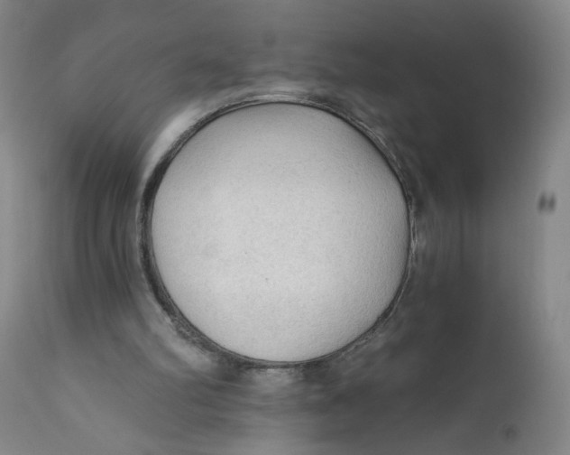 X0000112420102200909041422