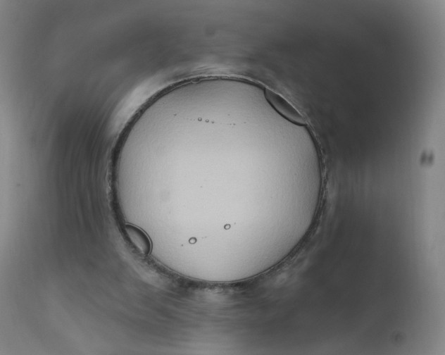 X0000112420103200909041422