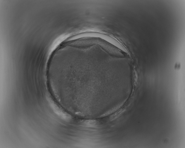 X0000112420104200909041422