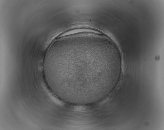 X0000112420105200909041422