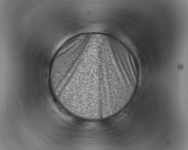 X0000112420107200909041422