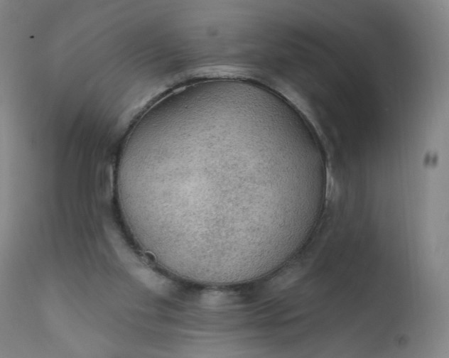 X0000112420109200909041422