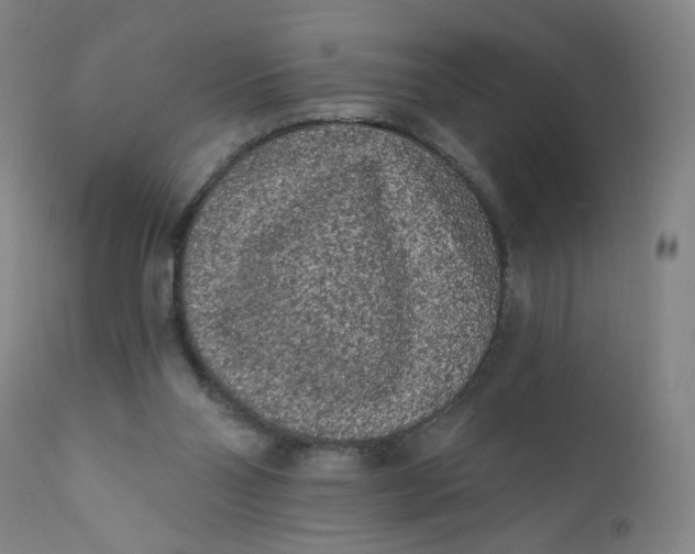 X0000112420110200909041422