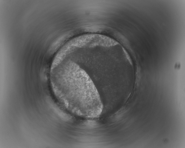 X0000112420114200909041422