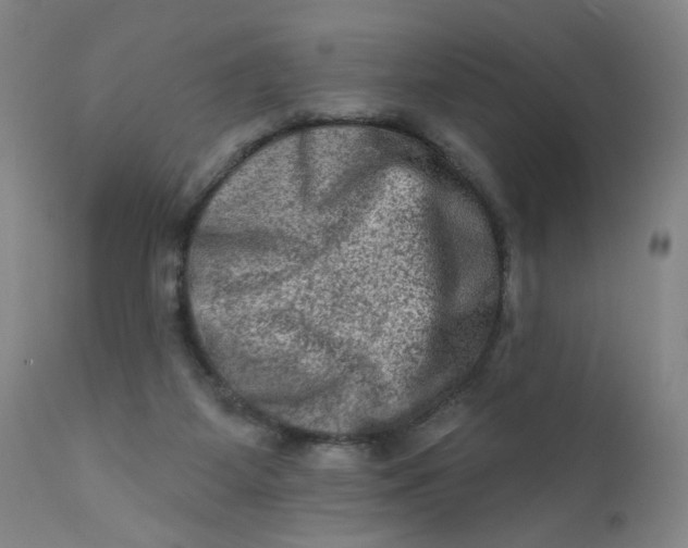 X0000112420115200909041422