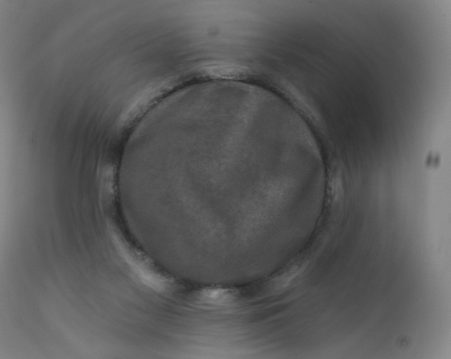 X0000112420117200909041422