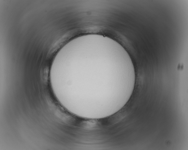 X0000112420118200909041422