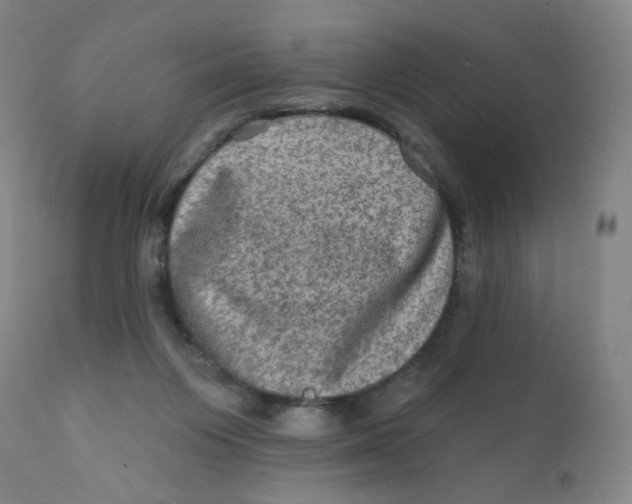 X0000112420119200909041422