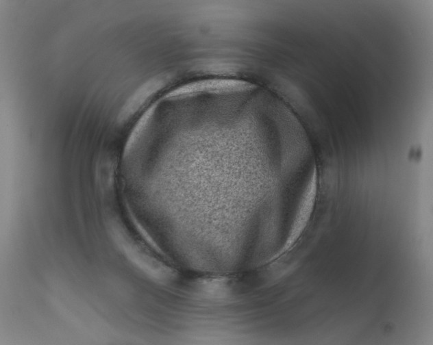 X0000112420120200909041422