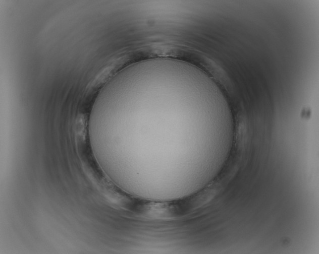 X0000112420121200909041422