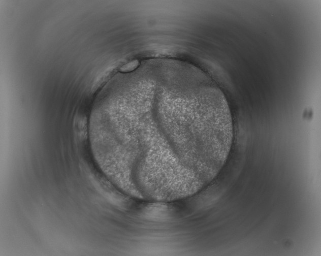 X0000112420123200909041422