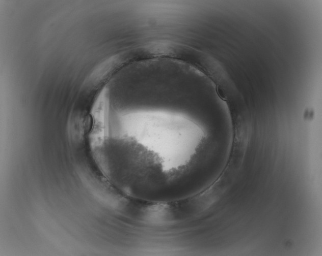 X0000112420124200909041422