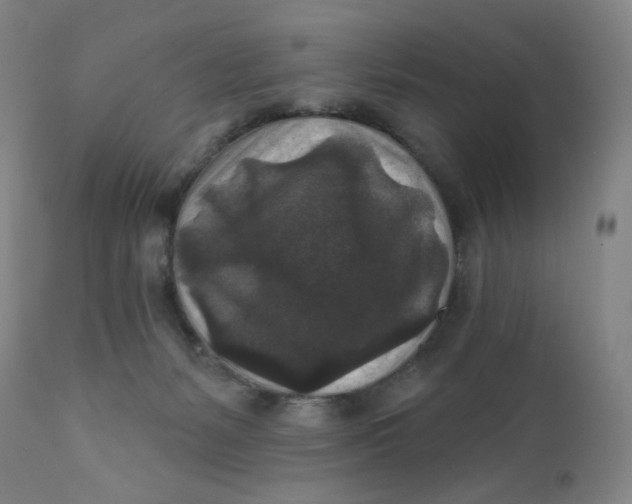 X0000112420127200909041422