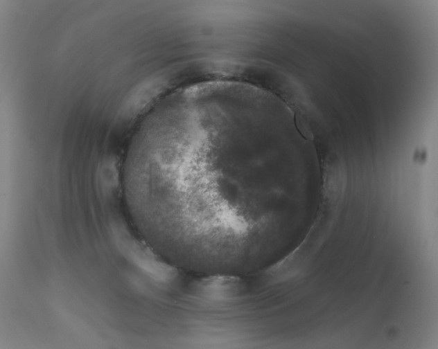 X0000112420128200909041422