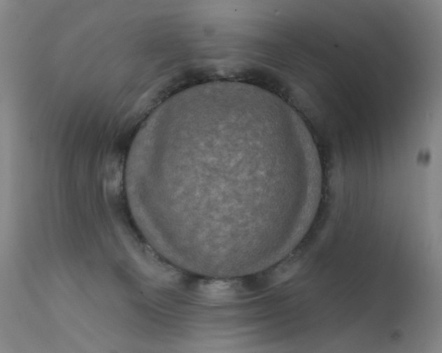 X0000112420129200909041422