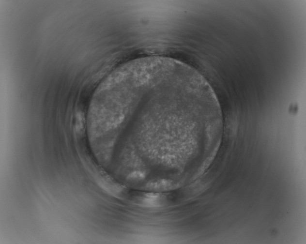 X0000112420130200909041422