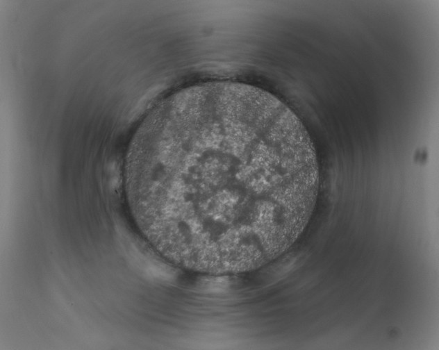 X0000112420131200909041422