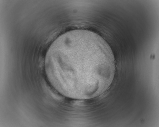 X0000112420132200909041422