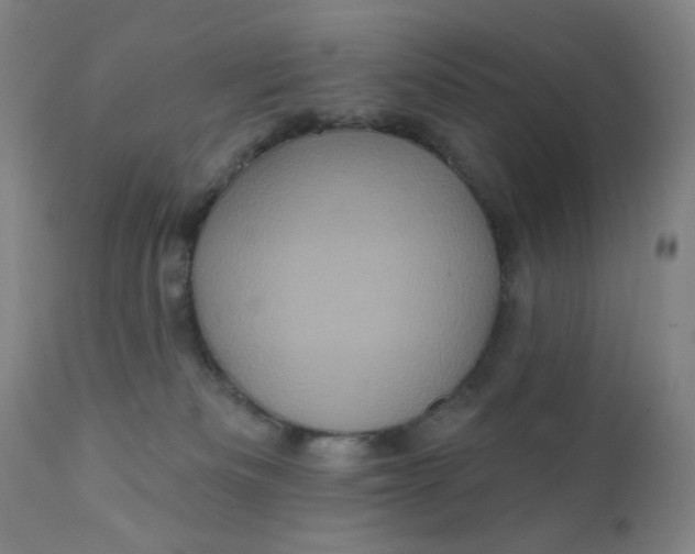 X0000112420133200909041422