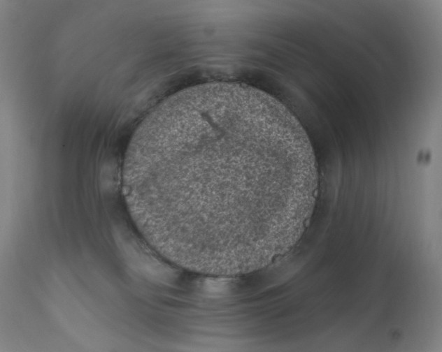 X0000112420134200909041422