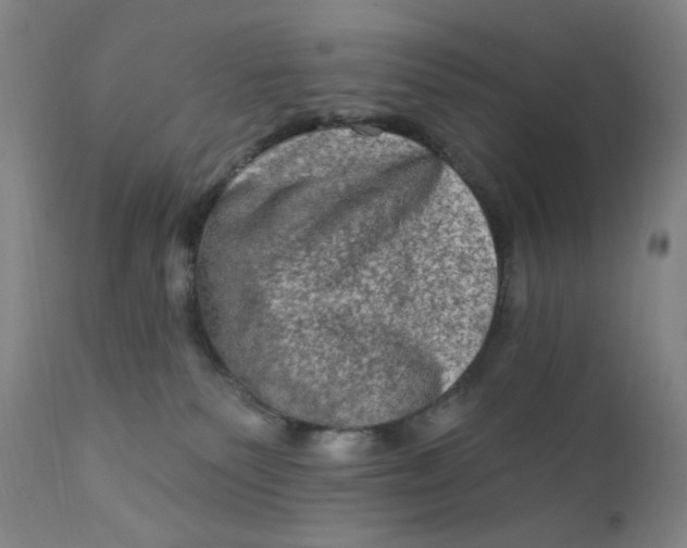 X0000112420135200909041422