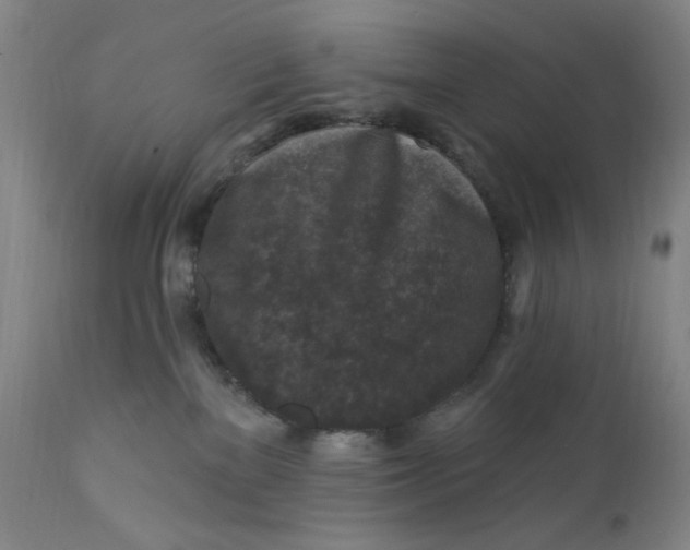 X0000112420137200909041422