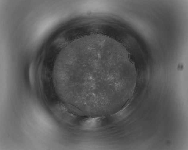 X0000112420140200909041421