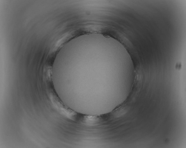 X0000112420141200909041421