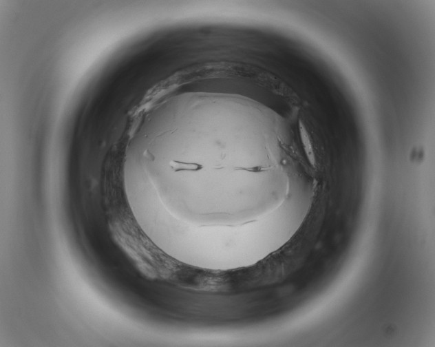 X0000112420143200909041421