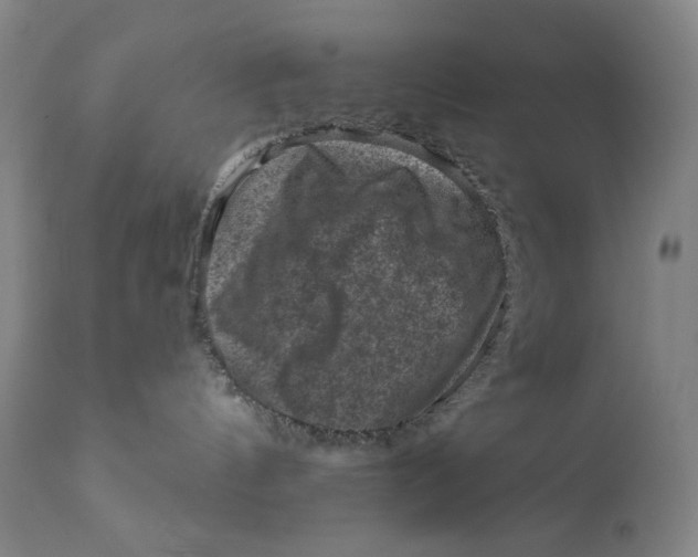 X0000112420144200909041421