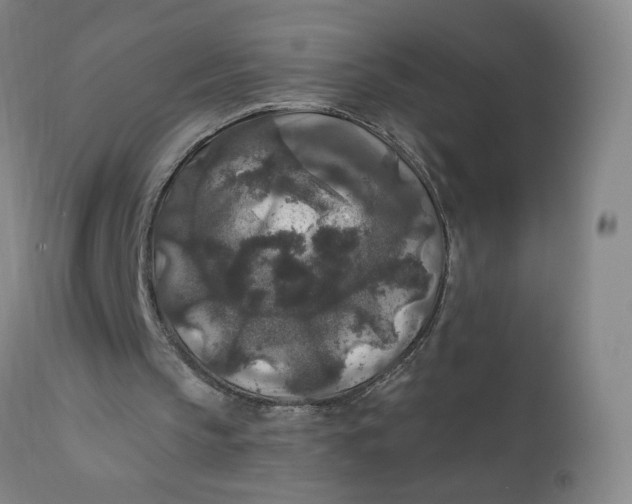 X0000112420145200909041421