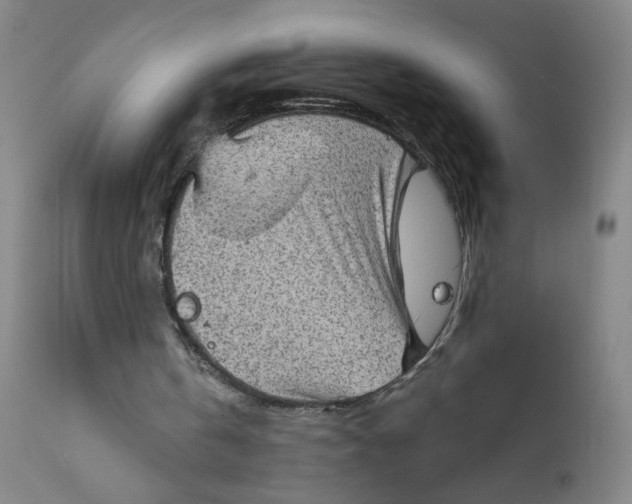 X0000112420146200909041421