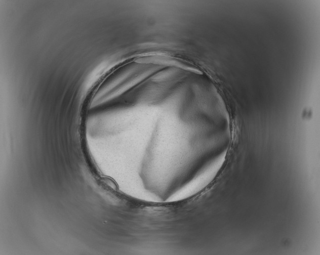 X0000112420150200909041421