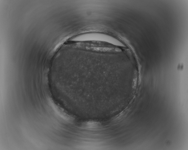 X0000112420154200909041421