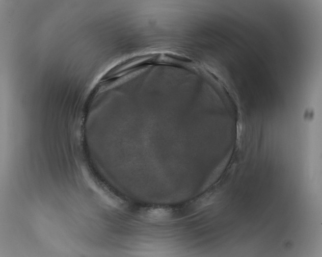 X0000112420156200909041421