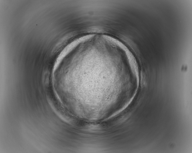 X0000112420157200909041421