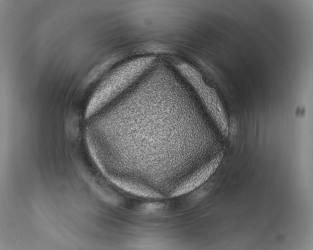 X0000112420158200909041421