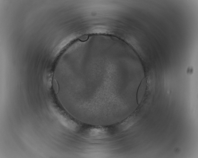 X0000112420160200909041421