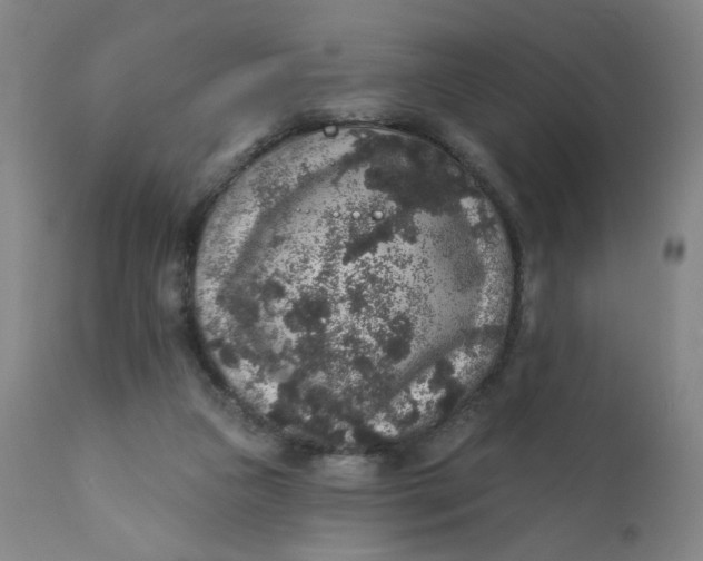 X0000112420161200909041421