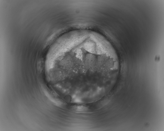 X0000112420165200909041421