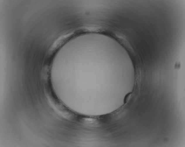 X0000112420167200909041421